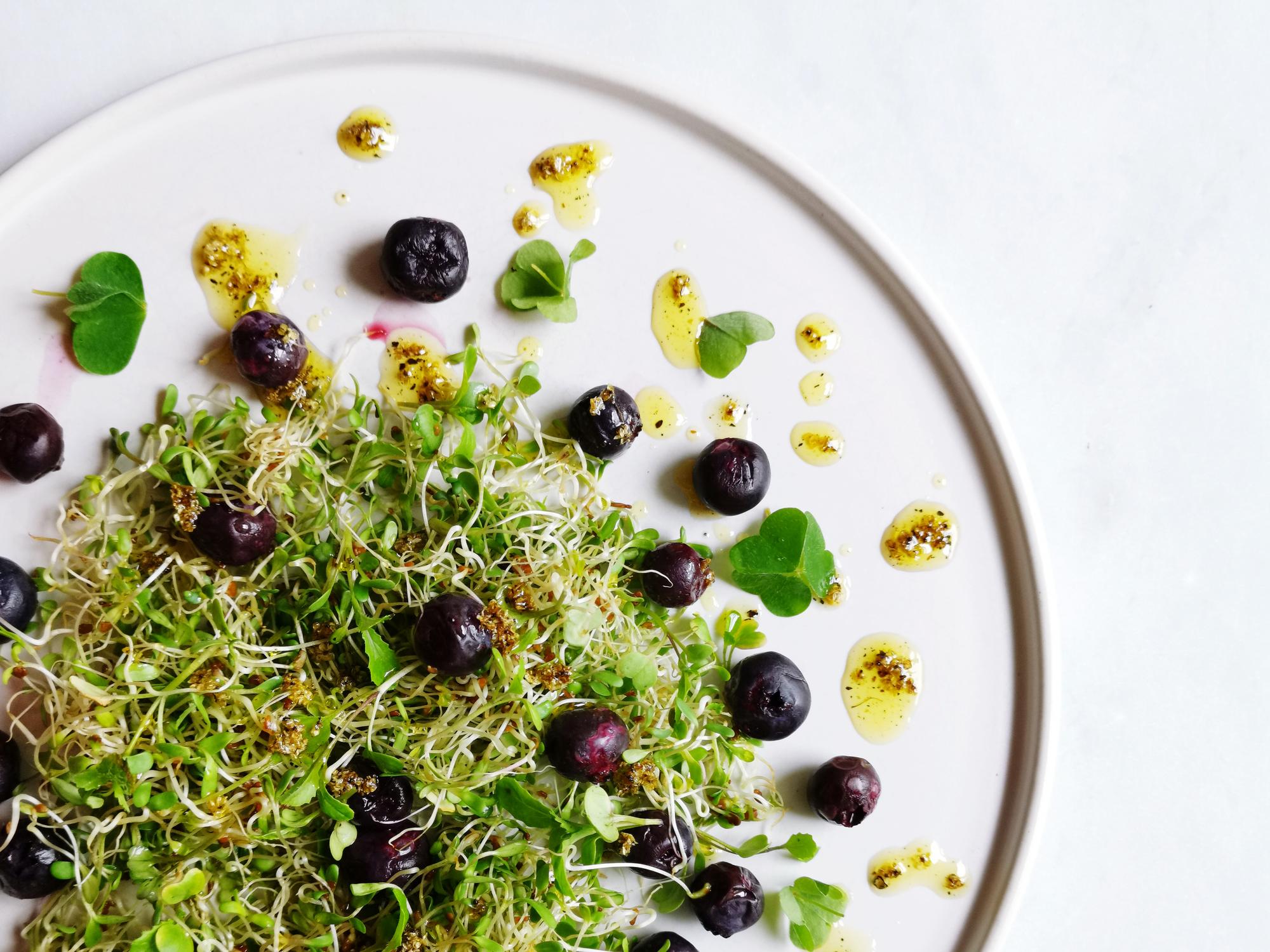 Close-up of plated starter with microgreens